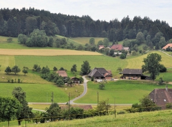 Aussicht über Leuzigen